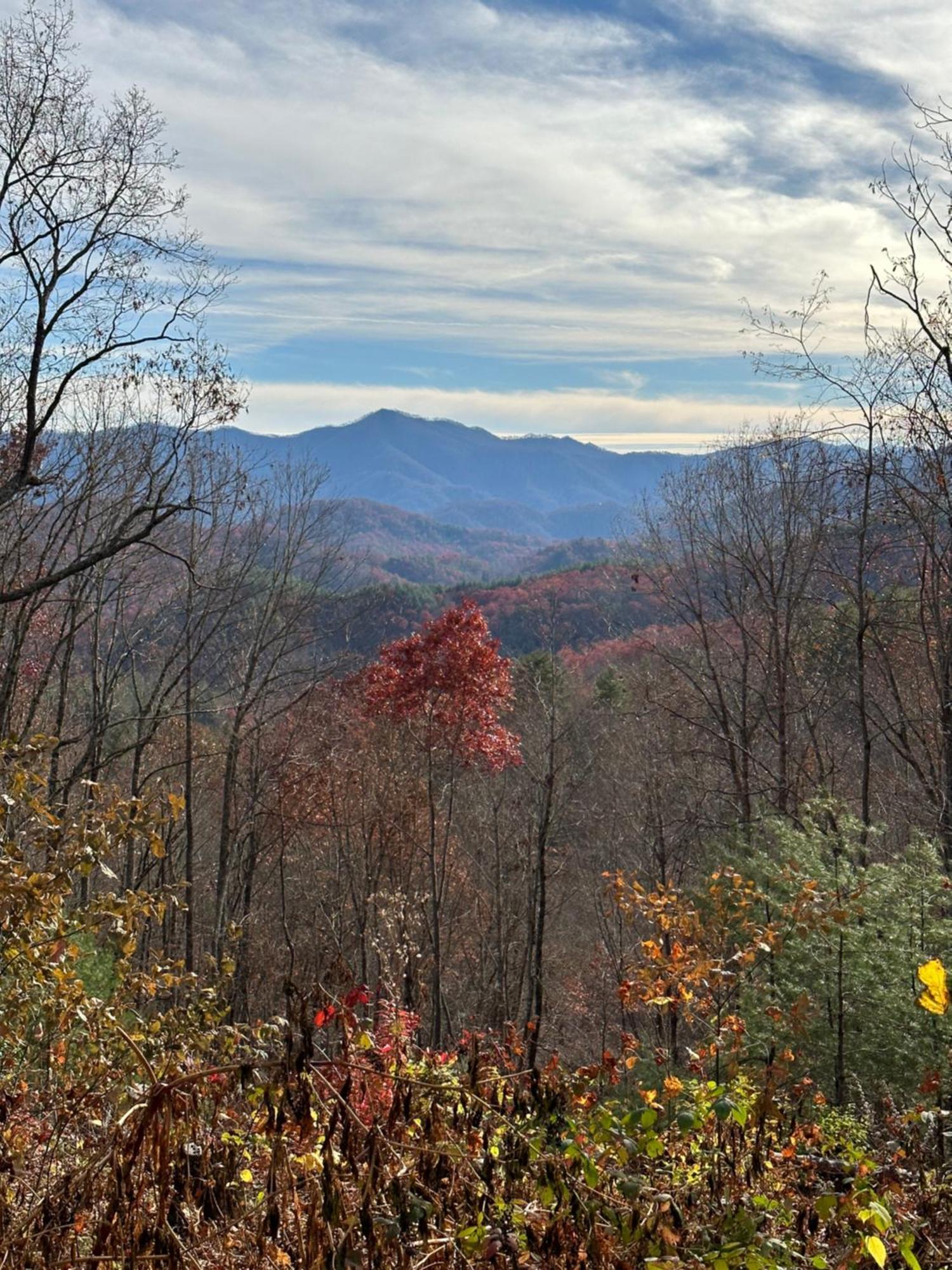 Stunning Views, Superb Atmosphere, Modern Amenities, In The Middle Of Nature Bryson City Dış mekan fotoğraf